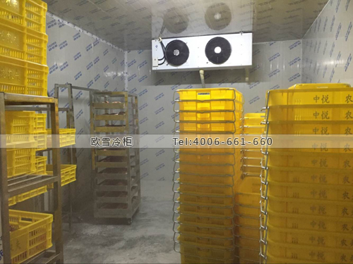 生鮮冷庫.jpg 生鮮冷庫.jpg