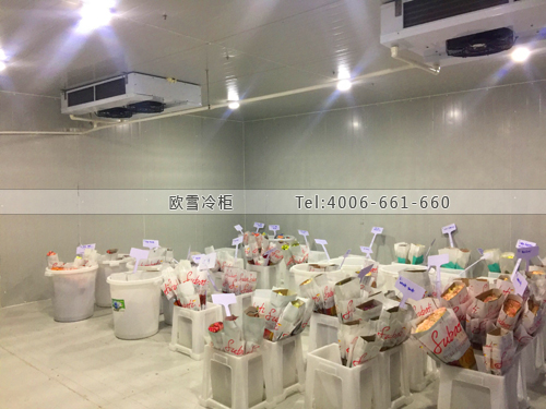 鮮花保鮮冷庫(kù).jpg 鮮花保鮮冷庫(kù).jpg