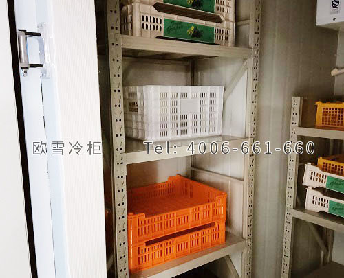 小型水果保鮮冷庫.jpg
