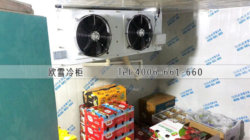 小型水果保鮮冷庫.jpg