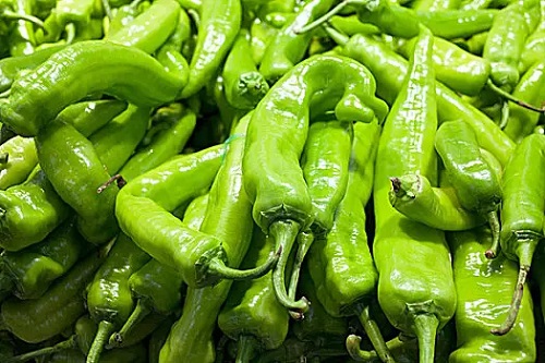 1671009135778444.jpg 1 (2).jpg