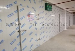 冷庫安裝-湖南雙溫藥品冷藏冷庫工程設計與安裝