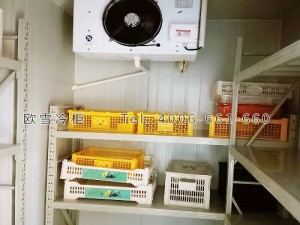 重慶市沙坪壩區(qū)水果店保鮮冷庫安裝