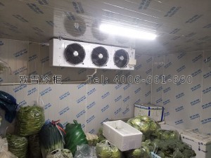 福建省廈門市小型蔬菜農產品冷藏冷庫安裝