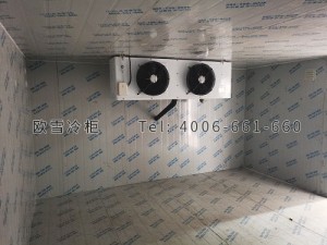 江蘇省南京市江寧區(qū)遠方物流小型冷凍倉儲冷庫安裝