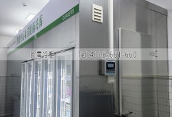 疫苗冷庫-上海25立方的后補式醫藥冷庫安裝