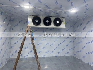 深圳龍華區零下18度的冷凍冷庫安裝案例