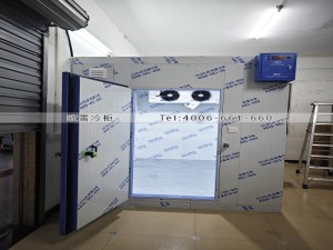 惠州惠陽15立方小型冷藏冷庫安裝案例