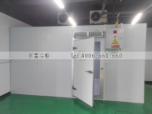 湖南長沙小型藥品冷庫安裝案例