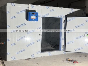 深圳市寶安區35立方的工業冷庫安裝案例