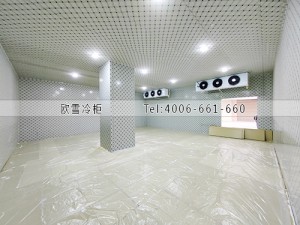 湖南郴州物流中心食品冷藏冷凍冷庫安裝案例
