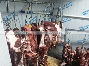 重慶市南岸區小型肉類雙溫冷庫安裝