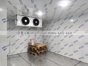 深圳龍崗區食品冷凍冷庫安裝案例