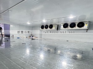 香港170立方的食品冷凍冷庫安裝案例