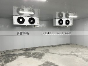 江西省萍鄉(xiāng)市上粟縣冷藏冷庫安裝案例