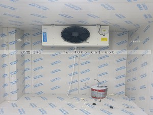 浙江杭州濱江田區小型冷凍冷庫安裝案例