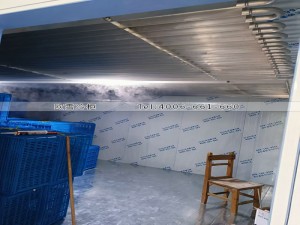 清遠鋁排管直冷冷凍冷庫安裝案例