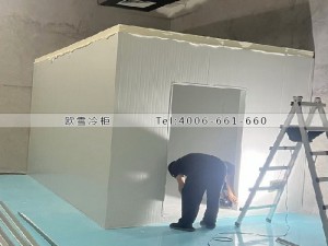 深圳光明區30立方小型化學原料冷藏冷庫安裝案例