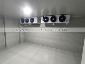 福建醫院兩個小型疫苗冷藏冷庫安裝案例