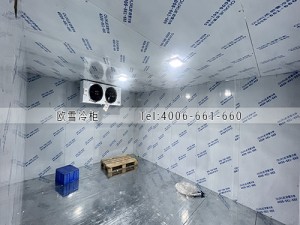 惠州惠陽55立方的寵物罐頭冷藏冷庫安裝案例